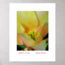 Search for yellow tulip posters Floral