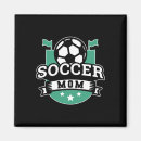 Search for striker magnets Team