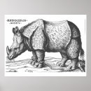 Search for rhino art Durer