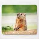 Search for groundhogs mousepads Wildlife