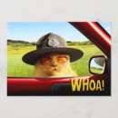 Search for cat joke invitations Humour