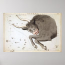 Search for taurus sign posters Vintage