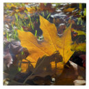 Search for grass home living Autumn