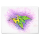 Search for aromatherapy posters Floral