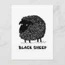 Search for sheeps postcards Funny