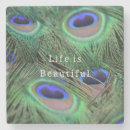 Search for peacock feather coasters Feathers