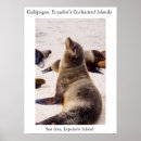 Search for galapagos art Lion