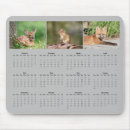 Search for chipmunks electronics Wildlife