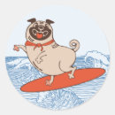 Search for dog ride stickers Pet