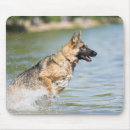 Search for leap mousepads Animal