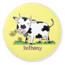 Search for cow knobs and pulls Cartoon