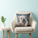 Search for french bulldog puppy cushions Purebred dog