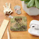 Search for cute lion key rings Big cat