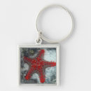 Search for starfish key rings Ocean