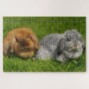 Search for rabbit puzzles Easter