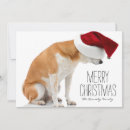 Search for shiba inu christmas cards No people