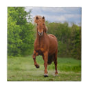 Search for ponies tiles Funny