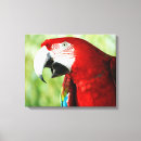 Search for wing canvas prints Green