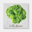 Search for lettuce magnets Vegan