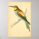 Search for migrator art Migration