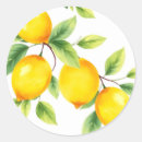 Search for lemon leaves stickers Citrus