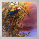 Search for macaw parrot posters Parrots