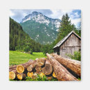 Search for logging magnets Mountains