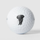 Search for elephant golf balls Nature