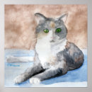 Search for tortoiseshell posters Kitty