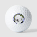 Search for sheep golf equipment Cute