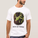 Search for conure clothing Parrot