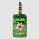 Search for run travel accessories Funny
