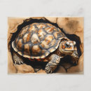 Search for four animals postcards Wildlife