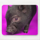 Search for pig pic mousepads Animal