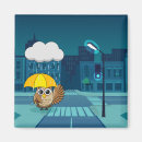 Search for rainy magnets City