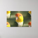 Search for belly canvas prints Nature