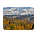 Search for oaks magnets Forest