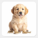 Search for golden puppy stickers Retriever