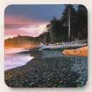 Search for driftwood coasters Tree