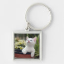 Search for kitten key rings Cat
