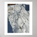 Search for footprints posters Snow