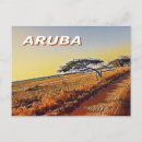 Search for divi Aruba