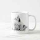 Search for ragdoll mugs Kitten