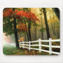 Search for leaf fall electronics Trees