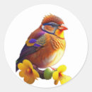 Search for cute little birds stickers Nature