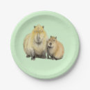 Search for capybara plates Wildlife