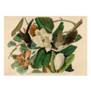 Search for black and white antique bird posters Animal