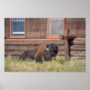 Search for yellowstone national park posters Wyoming