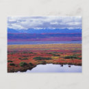 Search for tundra postcards Autumn