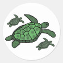 Search for turtle drawing stickers Turtles